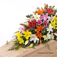 Lily Casket Spray - Mixed Colours 4ft